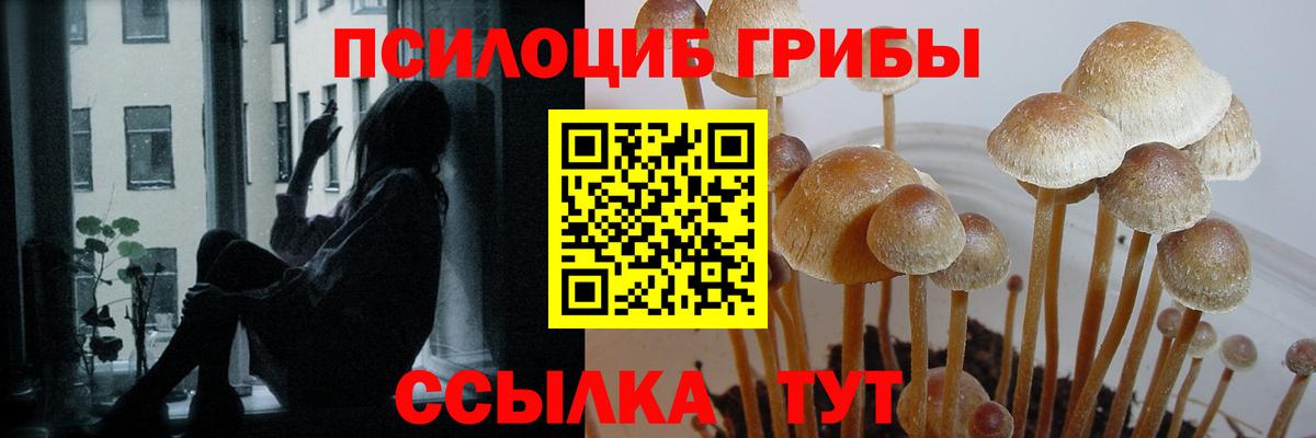 цены   Псилоцибиновые грибы ЛСД  Богородицк  Вход с VPN  Галлюциногенные грибы Cubensis 